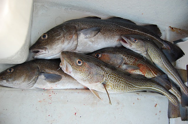 Seafood Spice Blends